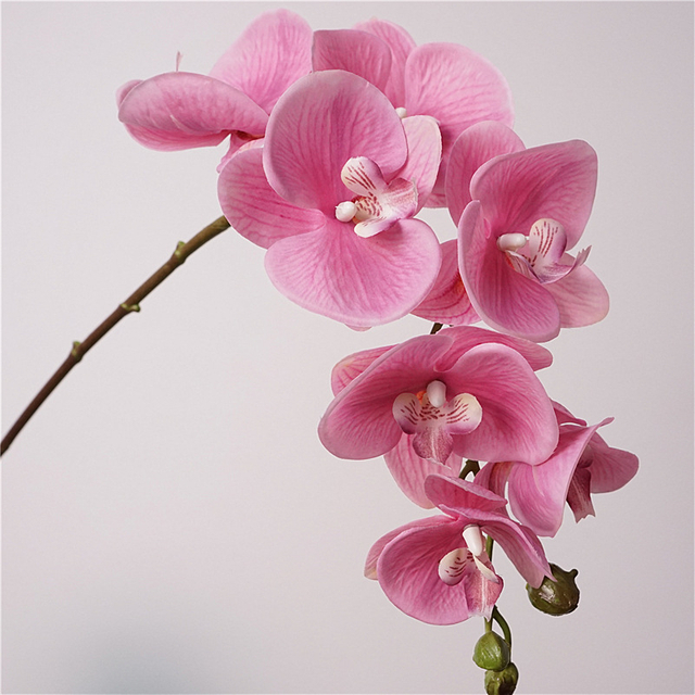 Artificial Phalaenopsis Orchid Stem Bundle (9 Color Options)