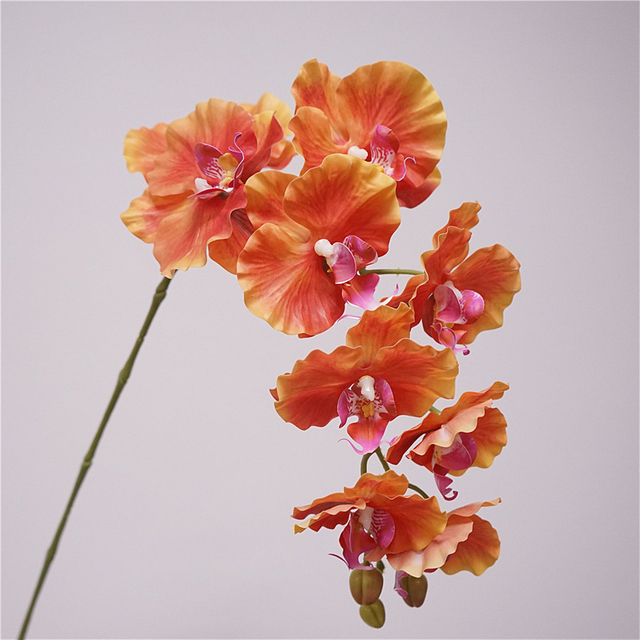 Artificial Phalaenopsis Orchid Stem Bundle (Multi-Color Options)