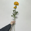 Artificial Gradient Yellow-Orange Ranunculus Stem