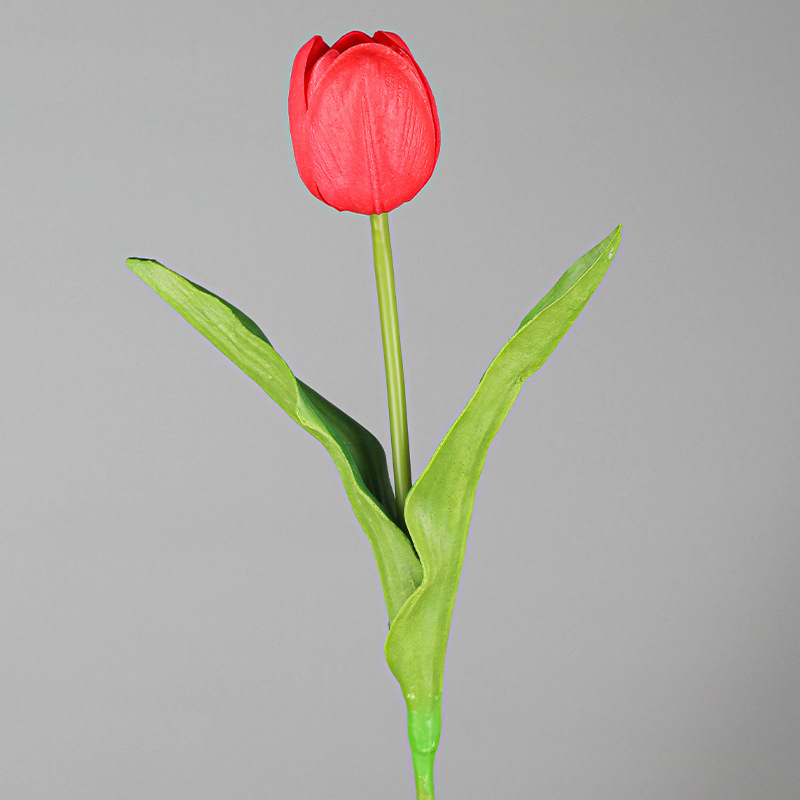 QH26S04702H.jpg
