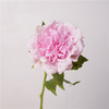 Artificial Peony Flower Stem Bundle (Updated 16 Color Options) Product Name