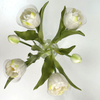 Artificial Flower Stem White Green Tulip