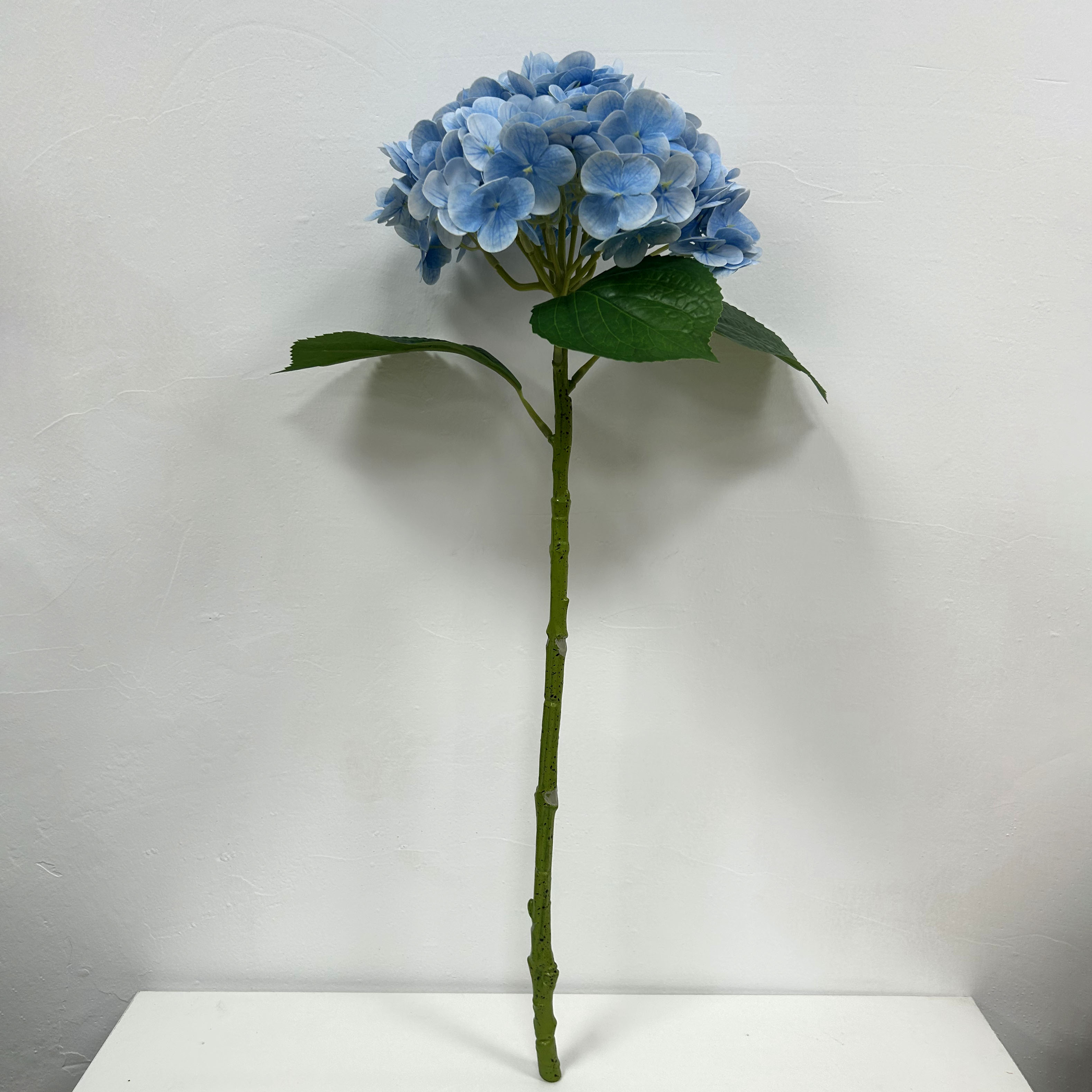 QH26327073 018.jpg