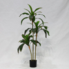  Artificial Ficus Tree (Cordyline Fruticosa / Brazilian Iron Tree)