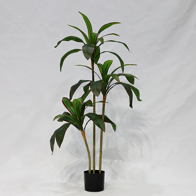  Artificial Ficus Tree (Cordyline Fruticosa / Brazilian Iron Tree)