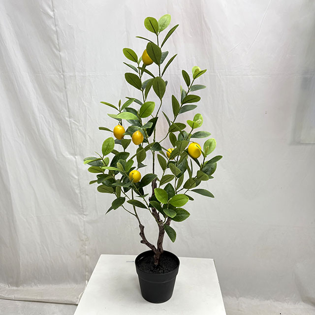 QH27G3137 90cm.jpg