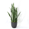 Artificial Cactus Succulent Tree (Faux Snake Plant / Sansevieria with Iconic Striped Leaves)