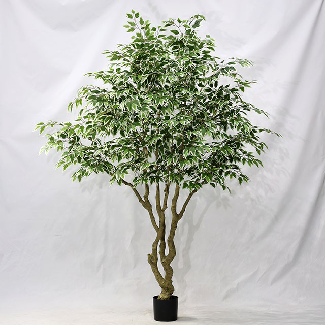 Artificial Ficus Tree (Ficus Benjamina)