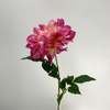 Single Head Artificial Dahlia, Blush Pink with Creamy Yellow Center