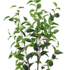 Lifelike Artificial Green Tree in Black Plastic Pot