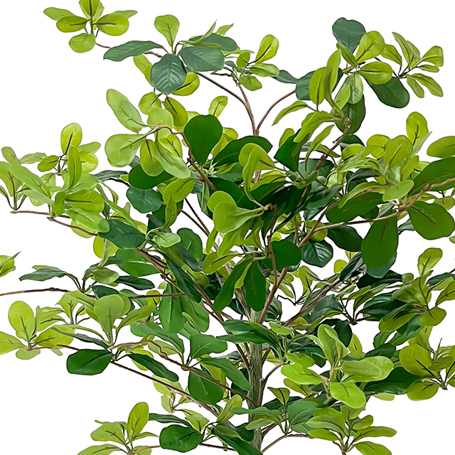 Artificial Tung Tree 59'' Realistic Faux Green Plant for Home and Office Decoration