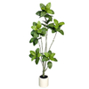 70inch Faux Ficus Lyrata Tree Artificial Plant Indoor Outdoor Tall with Realistic Long Lasting Color Leaves in Pot - Low Maintenance Fake Fig Tree for Home