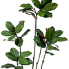  Artificial 71inch Plant Magnolia Tree, Artificial Potted Ornamental Tree, Artificial Tree Suitable for Home Office Decoration