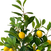Artificial Potted Lemon Tree - Lifelike Home Or Office Decor - Premium Faux Potted Tree 