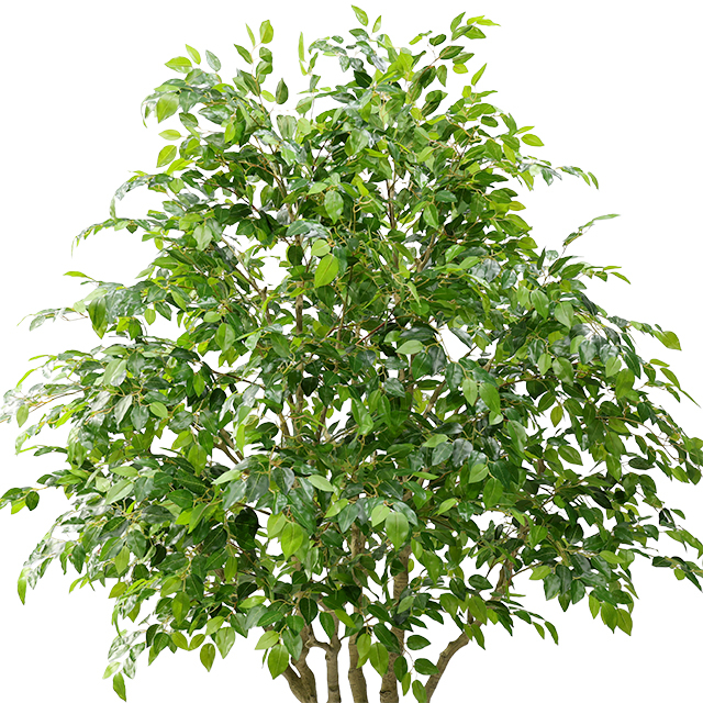 2026 new 94.5-inch Artificial Banyan Tree Pot with Durable Plastic Trunk for Office And Home Decor
