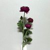 3-Head Single Stem Artificial Ranunculus, Deep Burgundy with Green Center