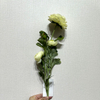 3-Head Single Stem Artificial Ranunculus, Cream-Light Green Ombré.