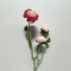 3-Head Single Stem Artificial Ranunculus, Hot Pink-Blush Bi-Color Ombré with Buds