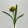 3-Head Single Stem Artificial Daffodil, Light Yellow with Orange Ruffled Center