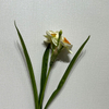 Cream White with Orange-Yellow Ruffled Center,3-Head Single Stem Artificial Daffodil