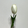 Artificial Cream White Tulip Stem, Long Stem with Foliage