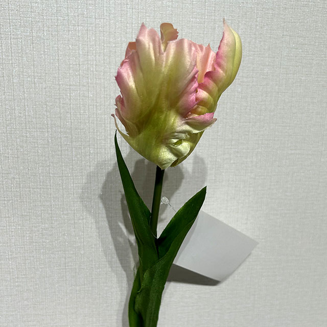 Artificial Frilly Blush Pink & Cream Parrot Tulip Stem