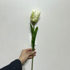 Artificial Frilly White Parrot Tulip Stem