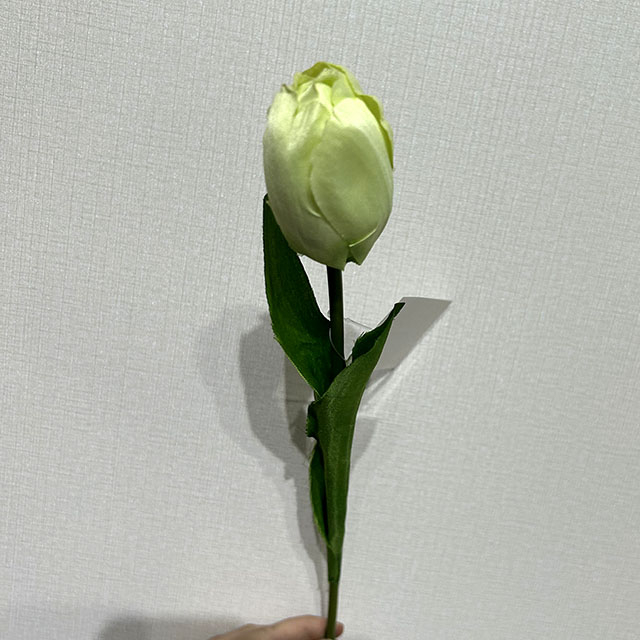 Artificial Light Green Tulip Stem, Long Stem with Foliage