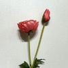Artificial Coral Pink Poppy Stem, Double Bloom with Foliage
