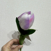 Artificial Two-Tone Purple & White Tulip Stem, Long Stem with Foliage