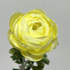 Bright Yellow Ranunculus Stem Artificial 