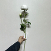 Artificial Pure White Ranunculus Stem
