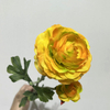 Artificial Gradient Yellow-Orange Ranunculus Stem