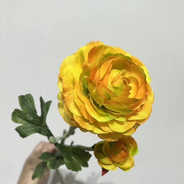 Artificial Gradient Yellow-Orange Ranunculus Stem