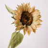 Artificial Sunflower Stem Bundle (4 Color Options)