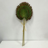 Artificial Flower Stem Fan Palm Leaf