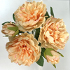 Artificial Champagne Gradient Peony Stem Bundle