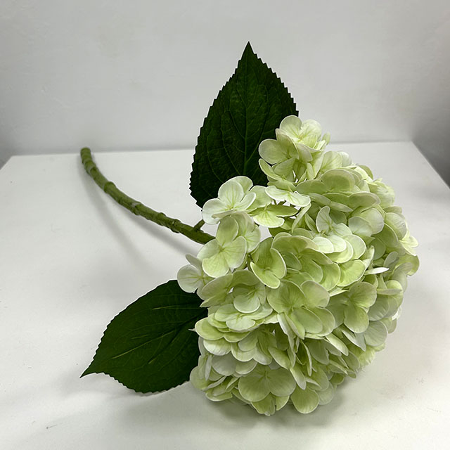 QH26327073 012.jpg