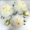Artificial Pure White Peony Stem Bundle