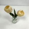 Artificial Cream Real-Touch Tulip Pair