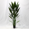Artificial Philodendron Tree (Faux Bird of Paradise / Strelitzia reginae with Large Sword-Shaped Tropical Leaves)