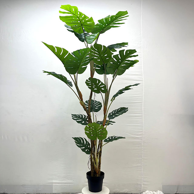 QH27G3060 拆装龟背高213cm22叶.jpg