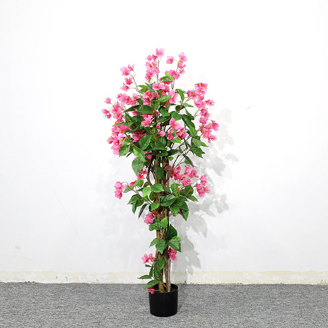 QH27G3184 120cm真杆拆装三角梅.JPG