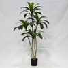  Artificial Ficus Tree (Cordyline Fruticosa / Brazilian Iron Tree)