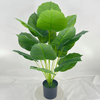 Artificial Philodendron Tree (Faux Elephant Ear Philodendron with Large Tropical Leaves)
