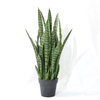 Artificial Cactus Succulent Tree (Faux Snake Plant / Sansevieria with Iconic Striped Leaves)