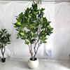 Artificial Audrey Banyan Tree (Ficus Audrey)