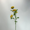 4-Head Single Stem Artificial Ranunculus, Bright Yellow with Green Edge