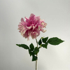 Single Head Artificial Dahlia, Blush Pink Gradient