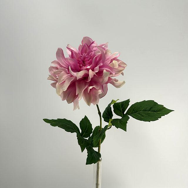 Single Head Artificial Dahlia, Blush Pink Gradient